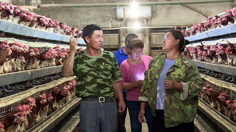 二十大时光丨李令荣：做致富路上的带头人