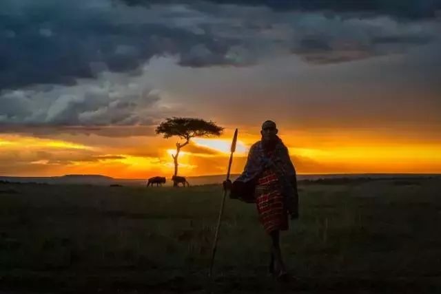 奥林巴斯摄影获奖照片,奥林巴斯摄影比赛视频