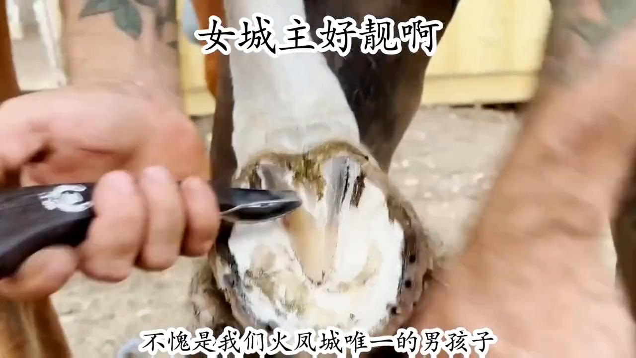 后续内容*载下**番茄畅听app搜索《女城主好靓啊》免费收听