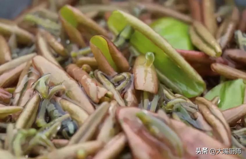 日本人最喜欢的长寿食物,日本人每天都吃的高钙长寿菜