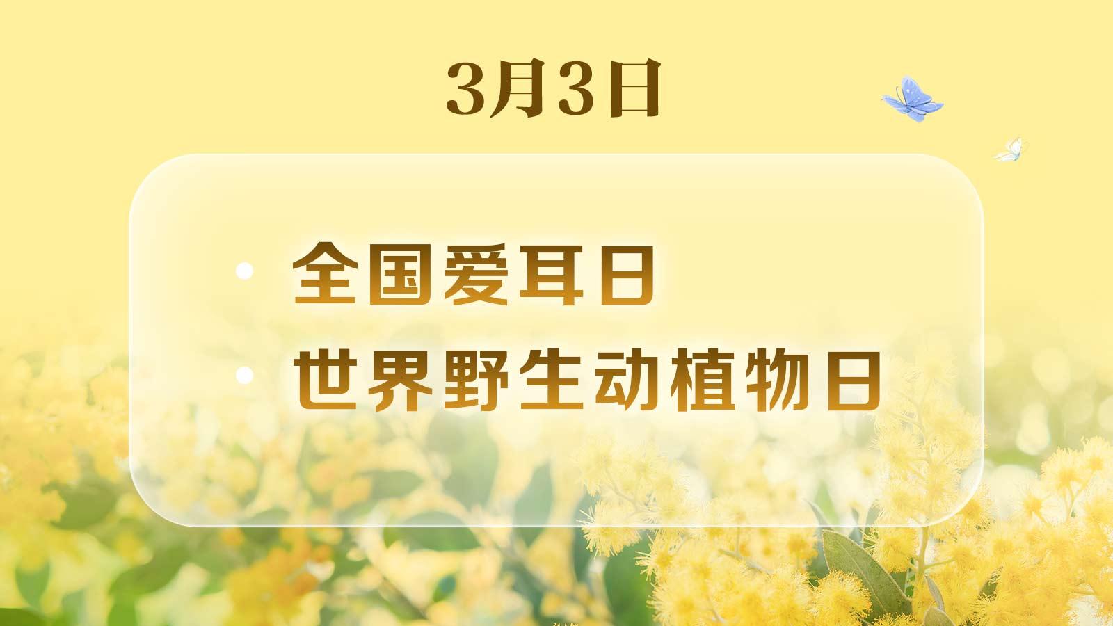 世界无肉日、国际幸福日……还有哪些？3月日历请收好