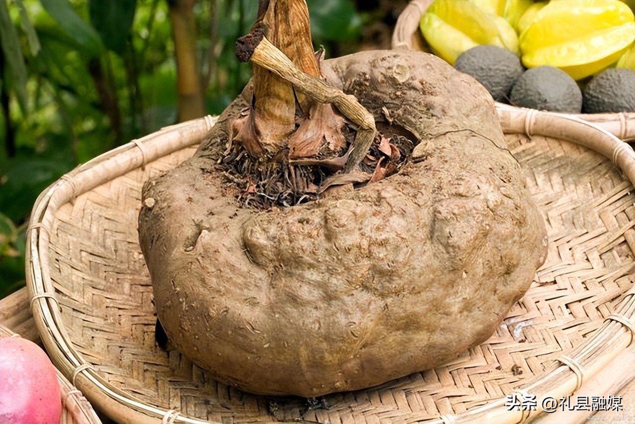 盘点6种南方“特有”的蔬菜,南方特有的蔬菜是什么菜