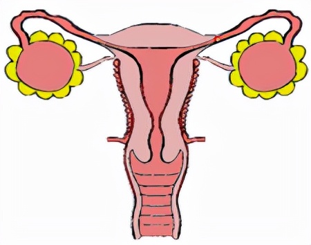 怕ta不来，又怕ta乱来！女生关于月经那点事儿