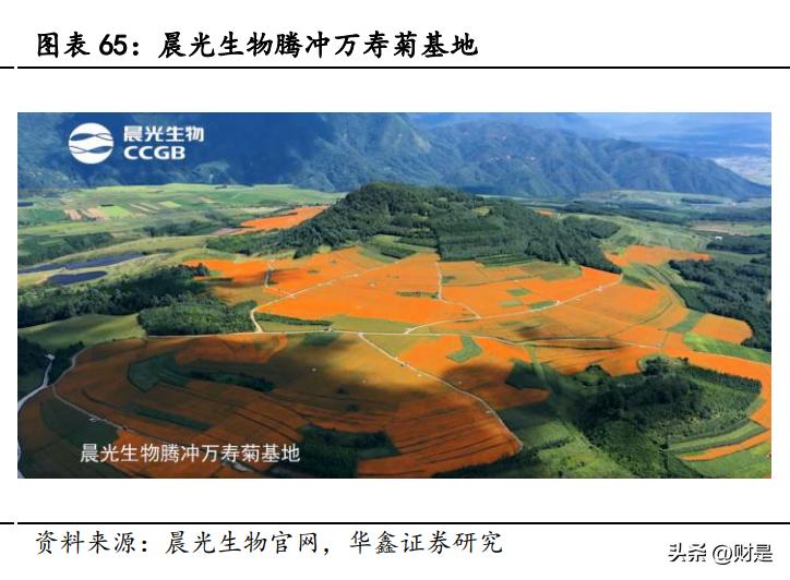 晨光生物未来估值,晨光生物研报