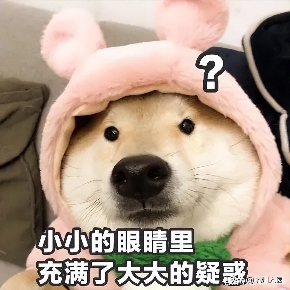 杭州幼儿园特级和甲级区别,杭州幼儿园等级划分