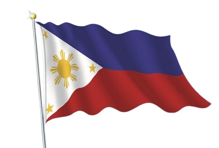 世界上那么多国家都有国花，中国为何没有？现实中真无花可替吗？