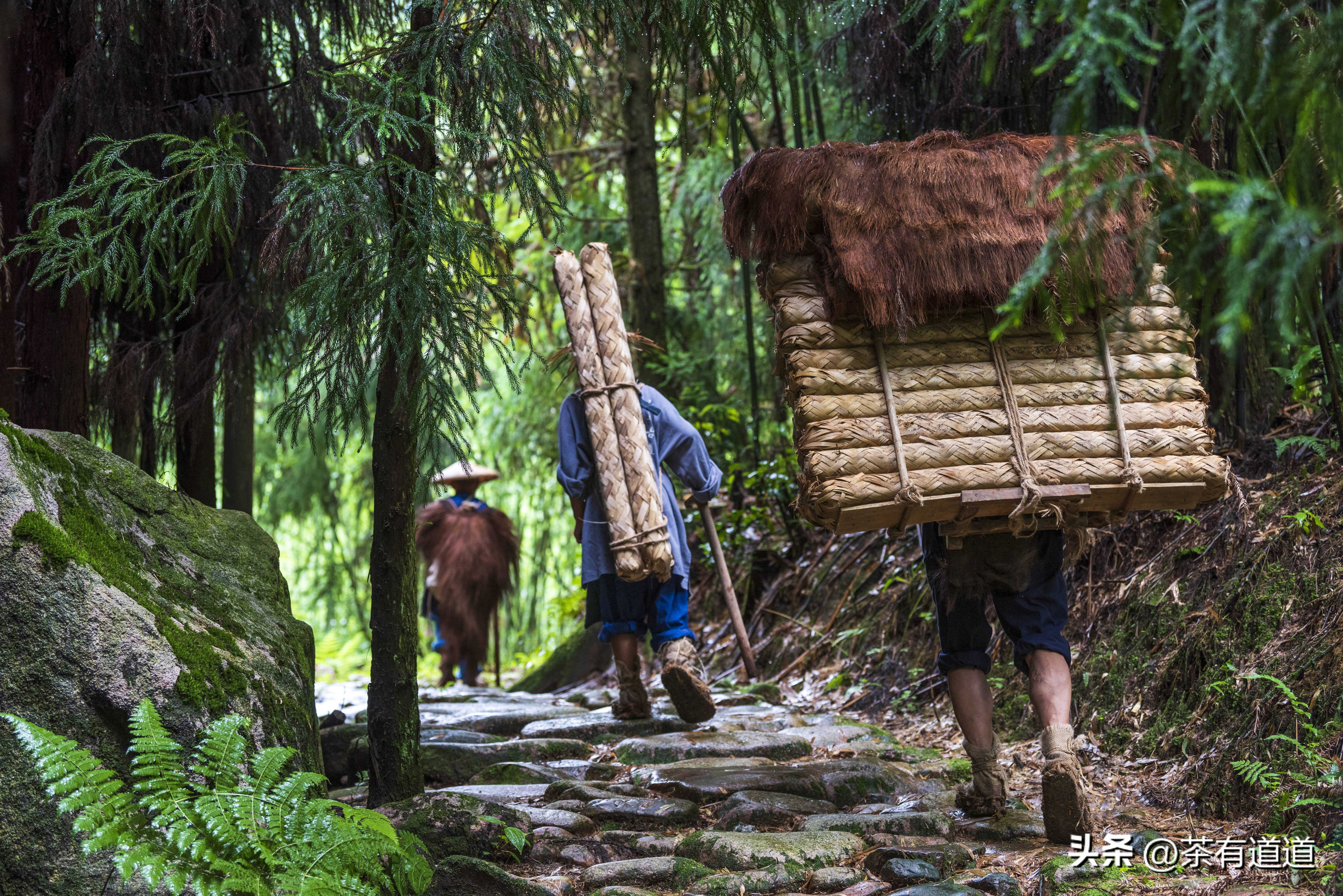 荥经茶马古道徒步线路,雅安荥经茶马古道穿越