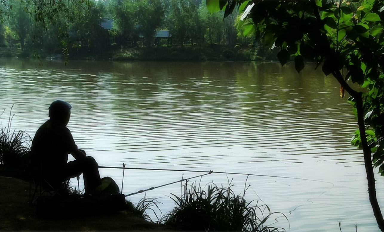 不是鱼难钓而是你太倔强,怎样做鱼窝料才能钓到鱼