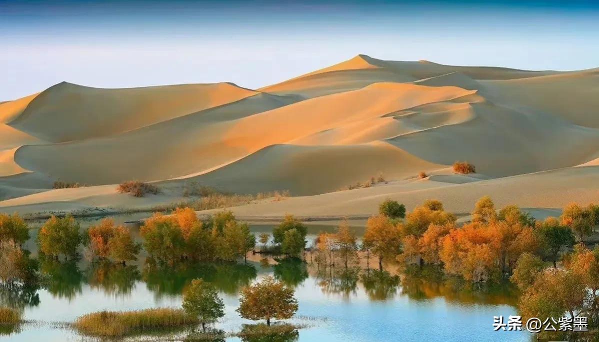 塞外凌寒日月长，大漠飞沙育胡杨，沙漠里不屈的灵魂---胡杨
