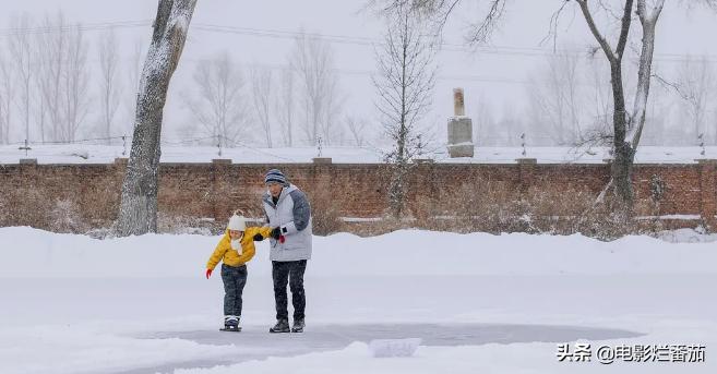 2022年最值得追的剧有哪些,2017最值得看的8部好剧