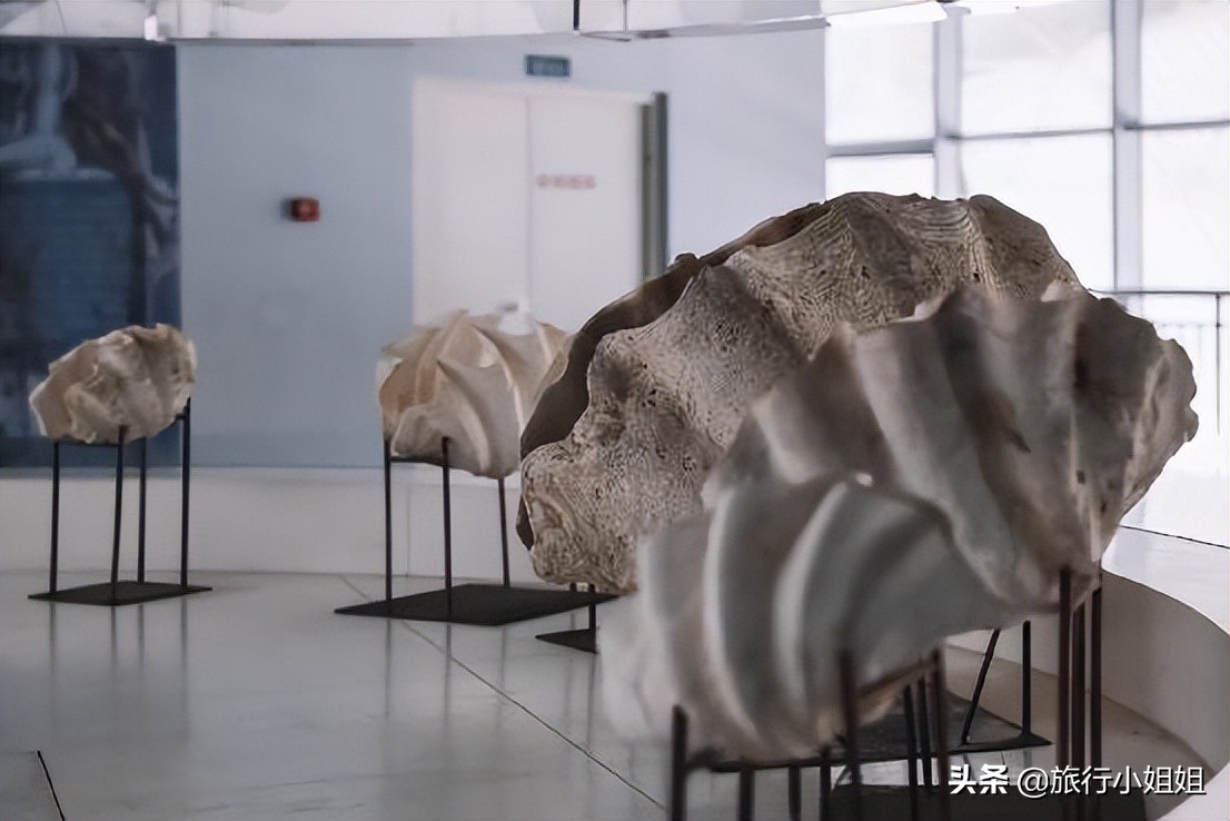 夏日海边微醺氛围感,滨城风光秀丽浪漫气息爆表