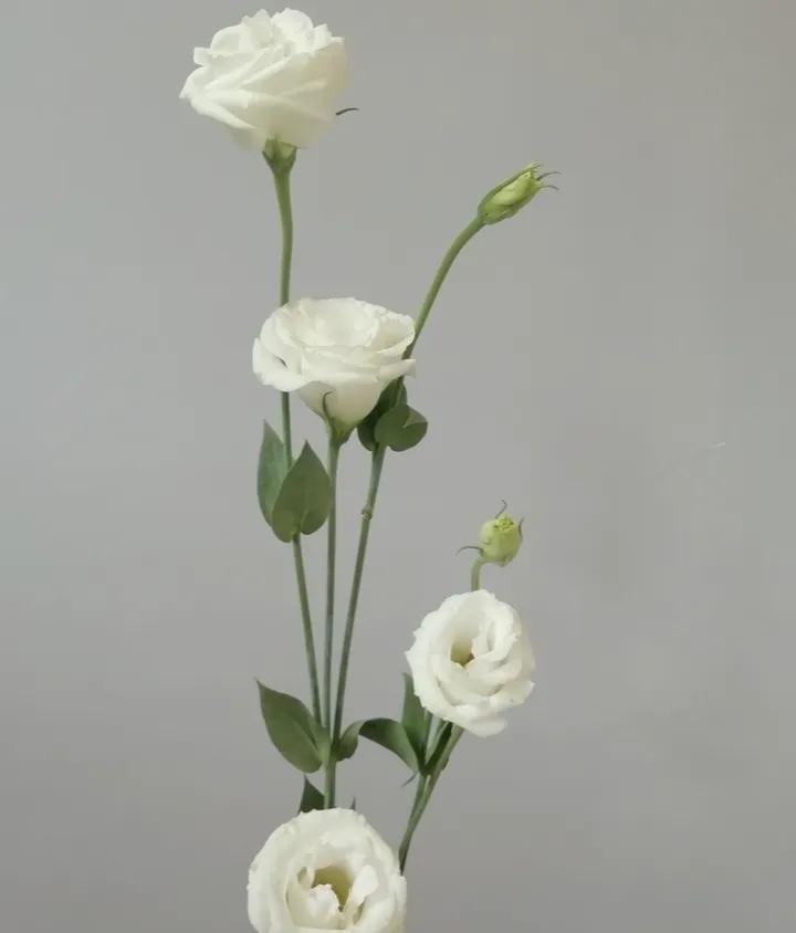 要自信要暴富,要自信