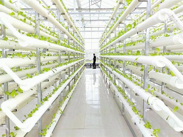 北方冬天，餐桌上的蔬菜水果与这些气象人有关！