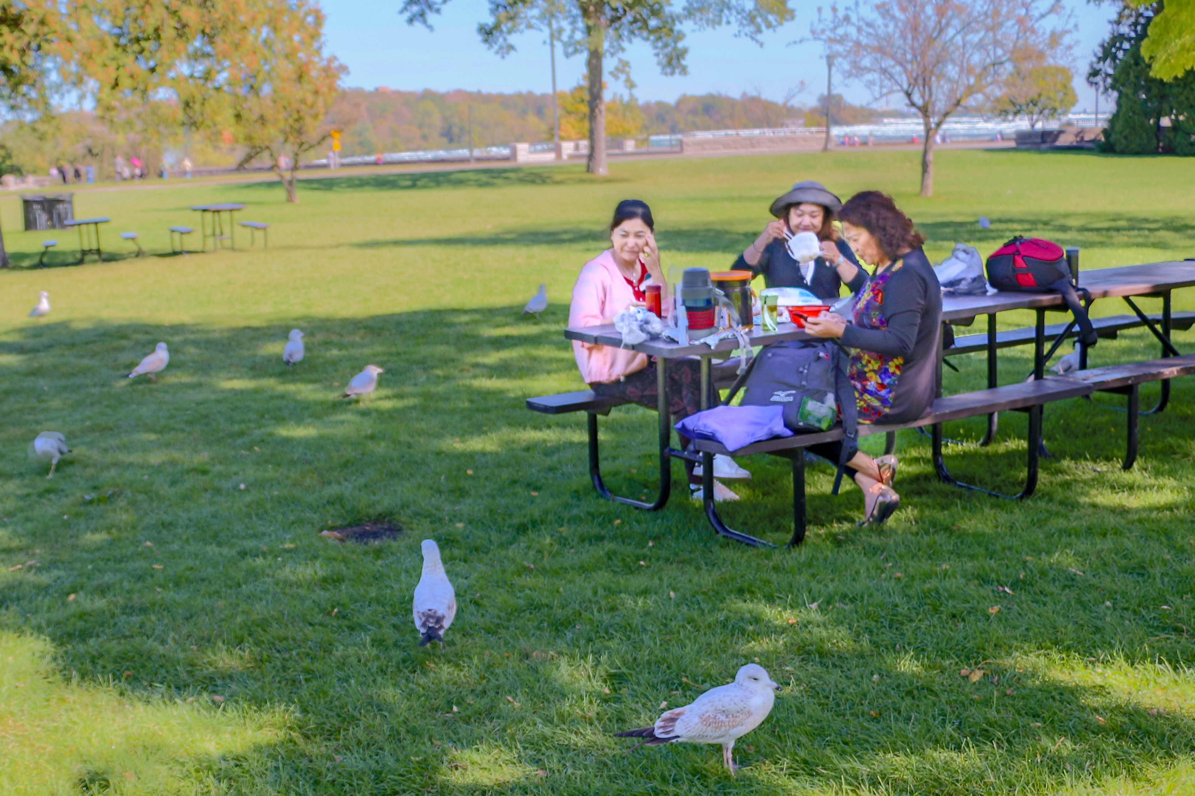美东加东旅游,美东加东