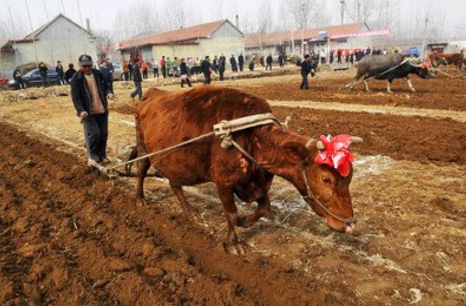 女朋友不让抽烟喝酒怎么幽默回复,怎么让女朋友不抽烟喝酒