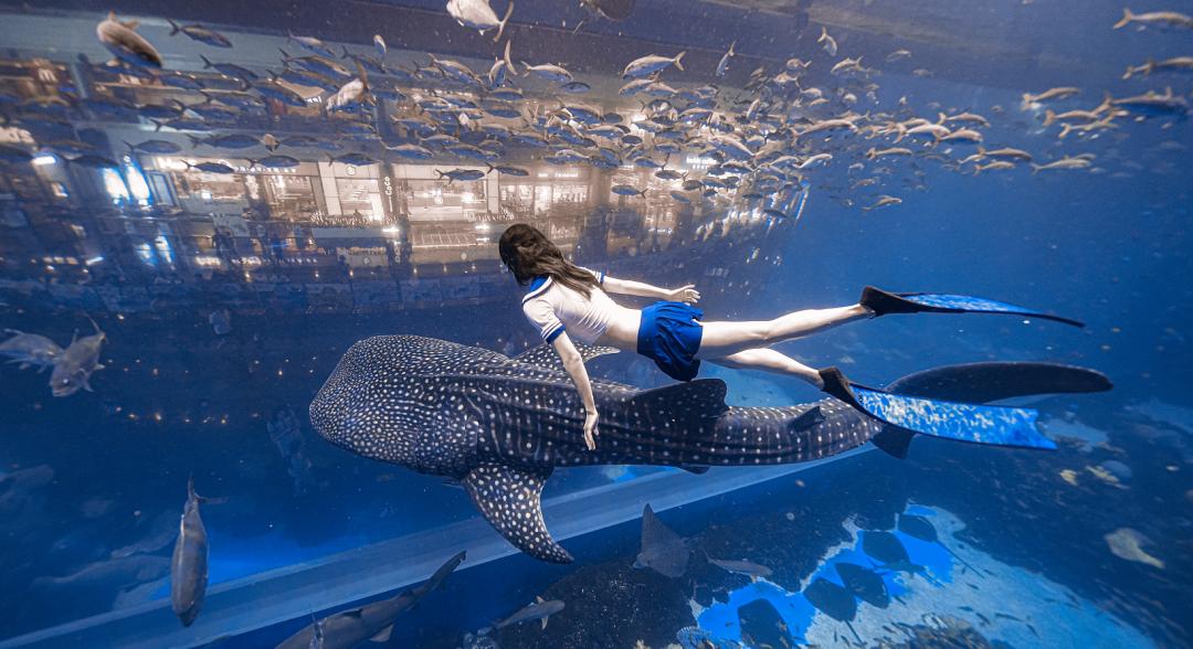 成都运动锻炼场地,成都运动场所推荐