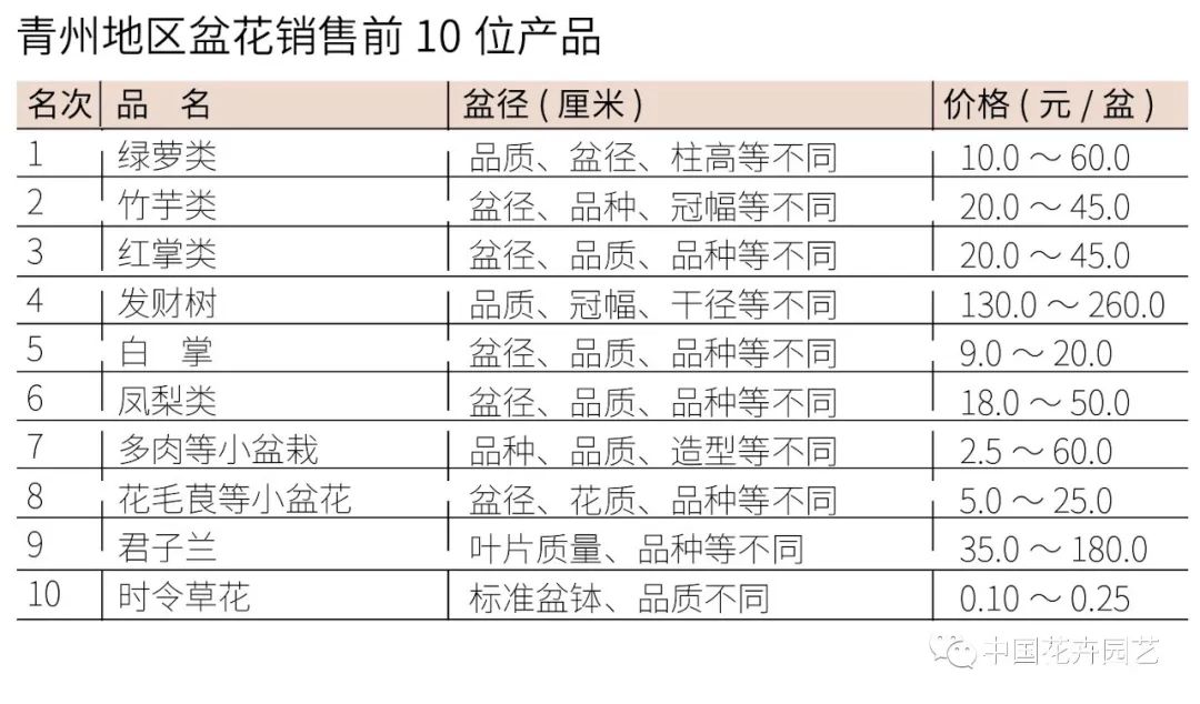 盆花批发价格暴跌,4月份花价预测