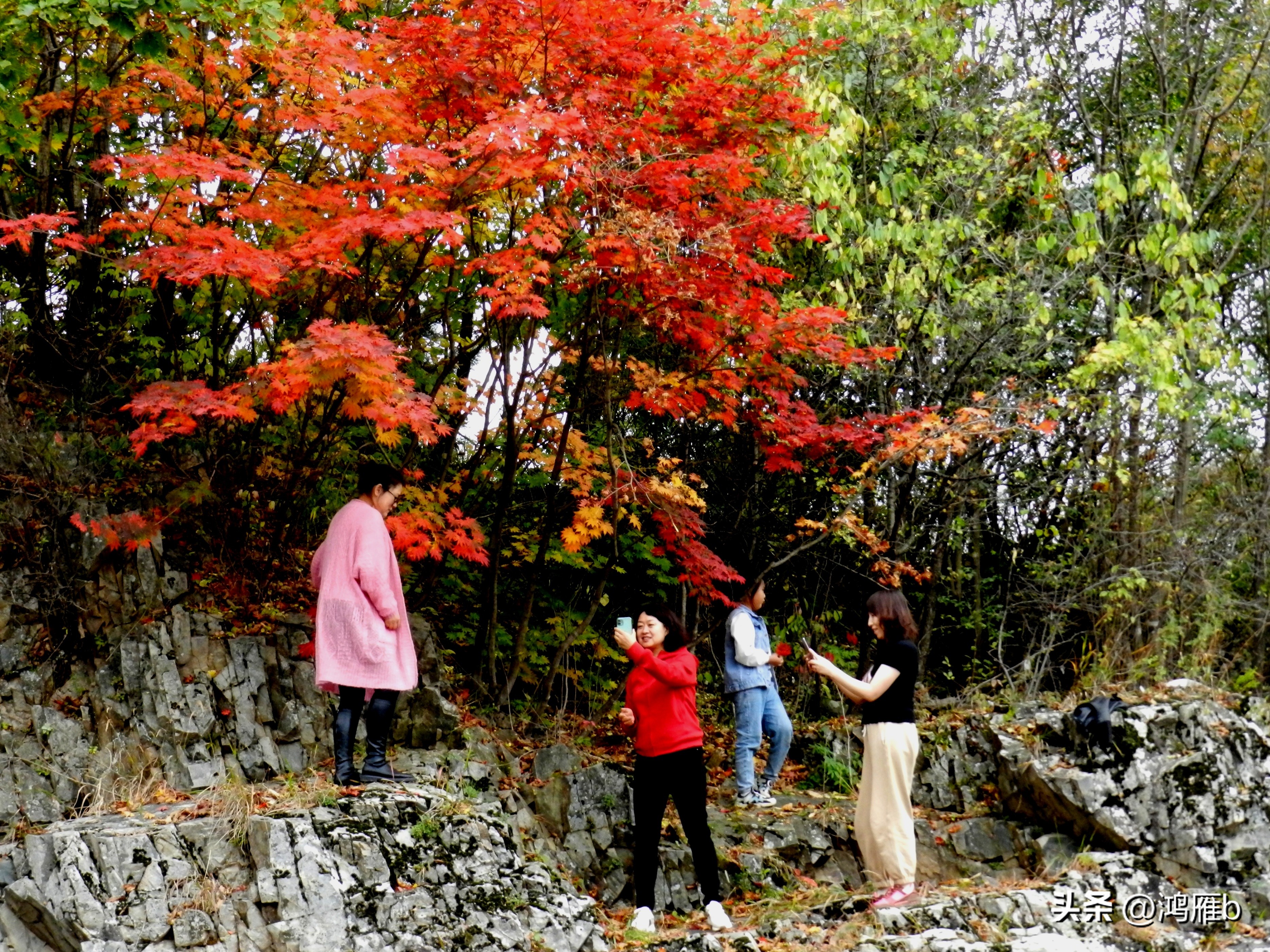 本溪温泉汤沟门票价格,本溪花溪沐枫雪温泉小镇