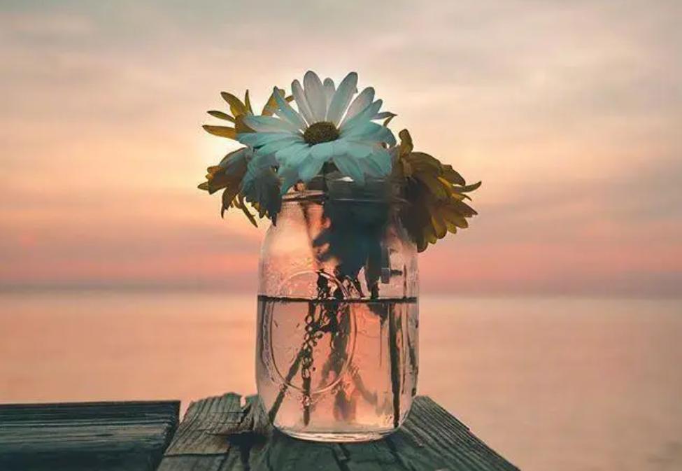 鑻ヨ浜虹敓澶劍铏戜笉濡ㄥ璇绘豹鏇剧ズ,濡傝浜虹敓澶嫙涓旇鍚庢劅