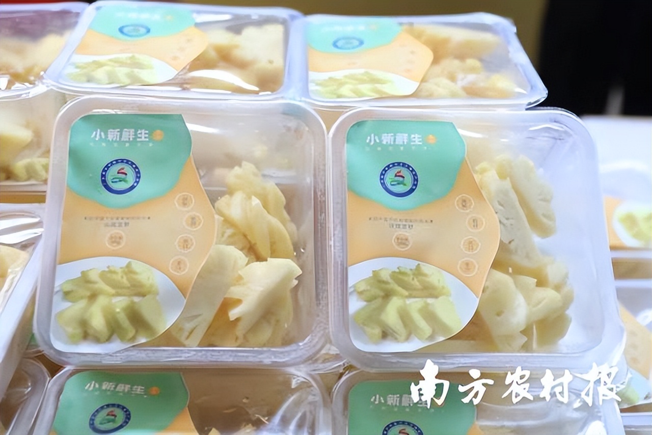 徐闻菠萝“百千直播”模式，县域电商营销培训一体化样板|数字强农“七个一百”标杆案例⑦