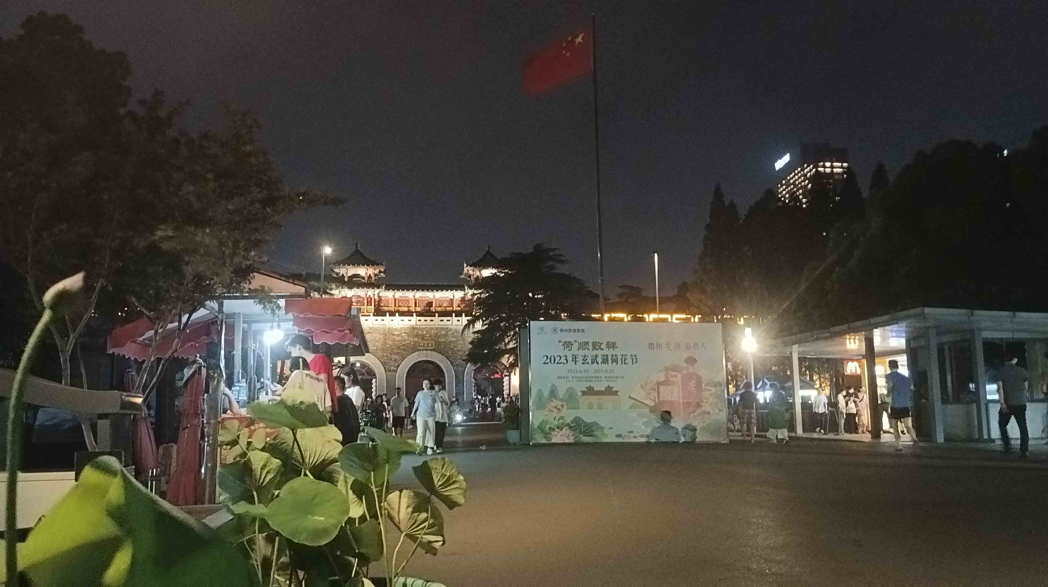 林子漫笔“微日记”,1221-1225：兔年有金“马孔多”