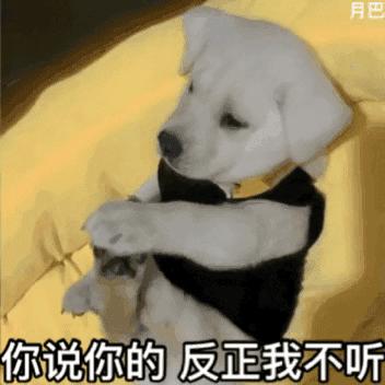 十大最好养的狗大型犬品种,中国名犬排名前10的狗排行榜