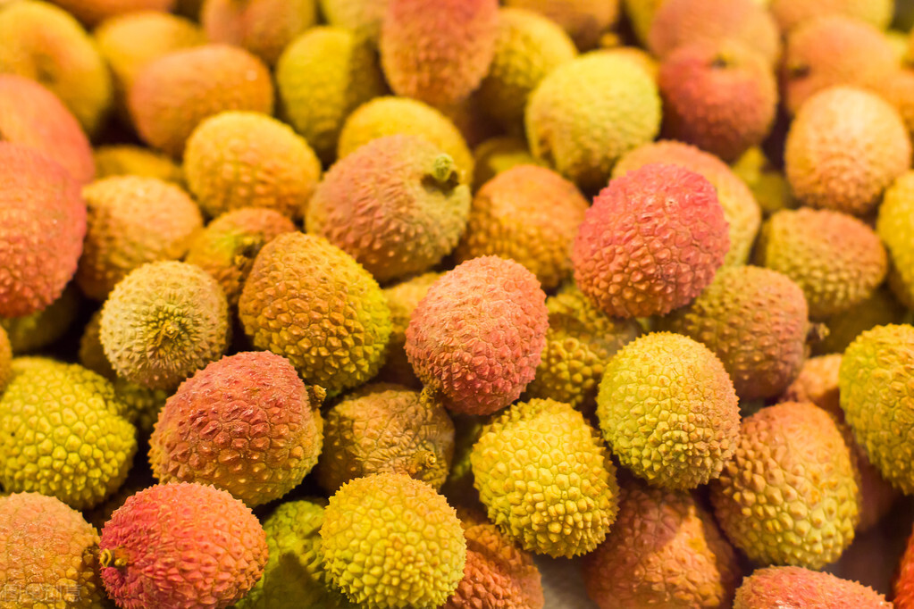 水果价格为什么涨得这么厉害,水果价格下降的原因