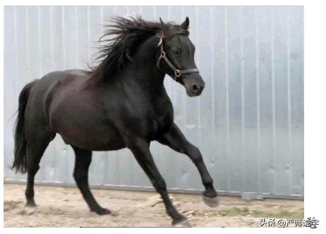 3000常用汉字偏旁归类表,汉字偏旁归纳视频