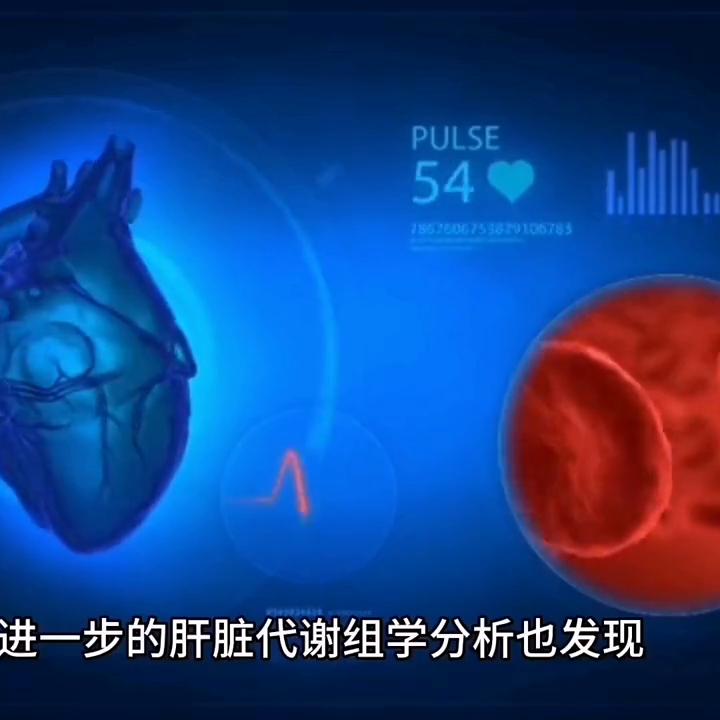 酸奶减脂期能喝哪些酸奶,减脂期喝无糖酸奶跟有糖酸奶