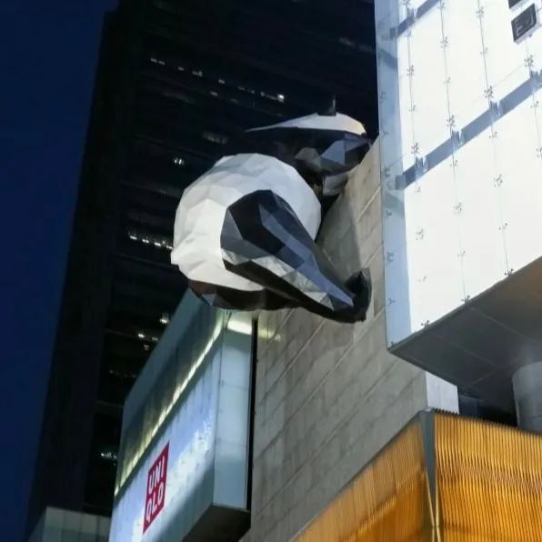 四川成都旅游攻略大全,成都旅游攻略带小孩自由行攻略