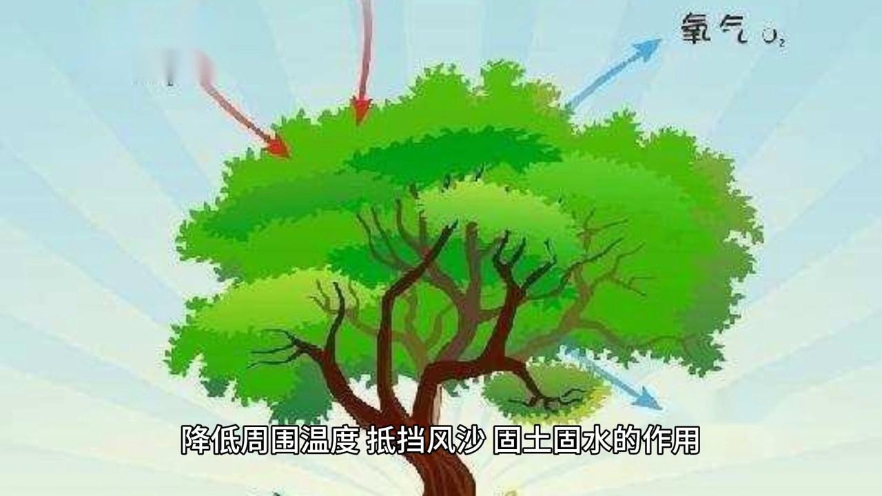 小学科学知识趣味学,每天学点小知识二年级