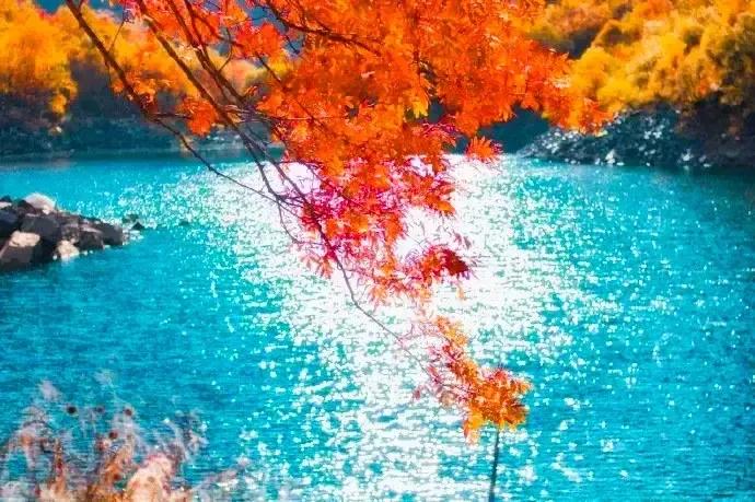 冬日人生感慨十二首,冬日感言七绝诗