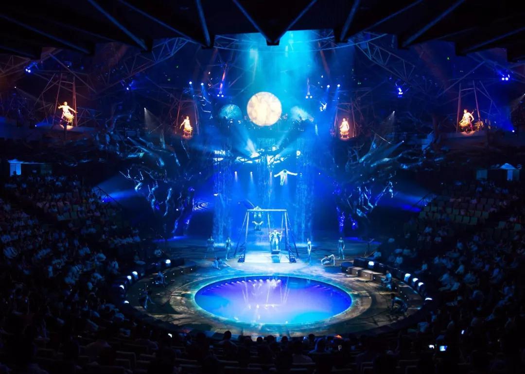 云南西双版纳旅游攻略app,云南西双版纳旅游攻略自由行12月