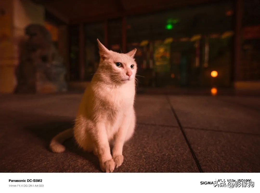 适马14-24mmf2.8镜头,适马14mm对比索尼14mm