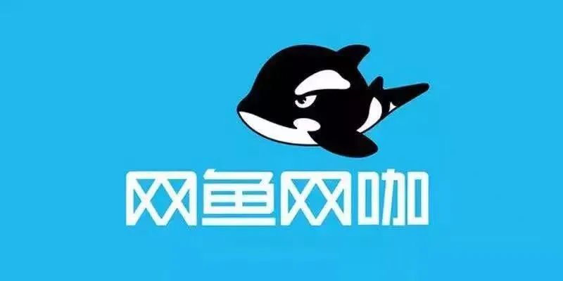 网鱼网咖王思聪占股多少,王思聪创业赔了多少