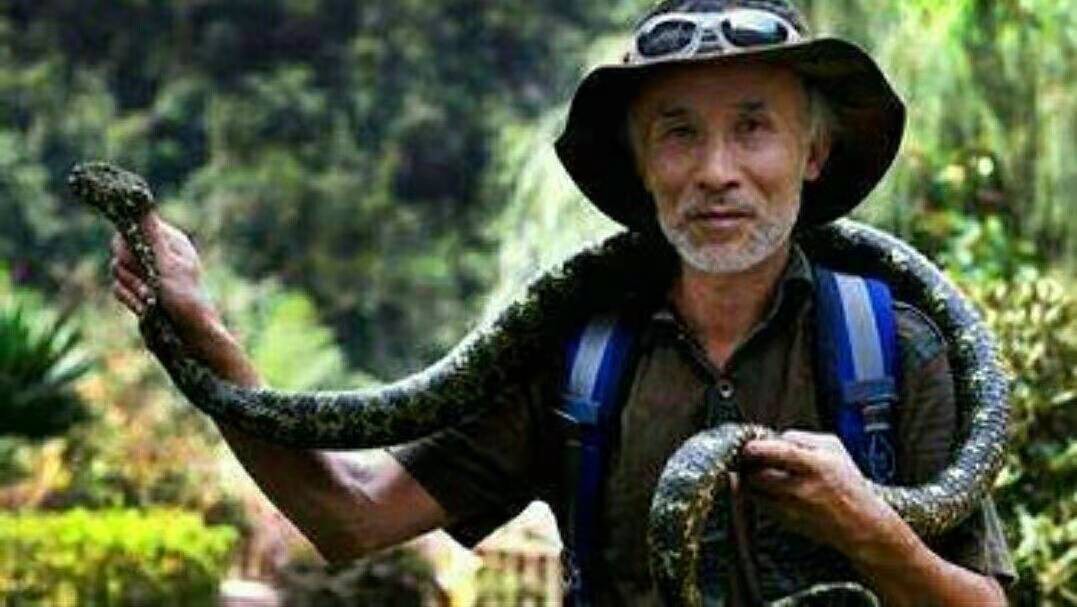 俗语中打蛇打七寸指的是哪个位置,打蛇打七寸指什么地方