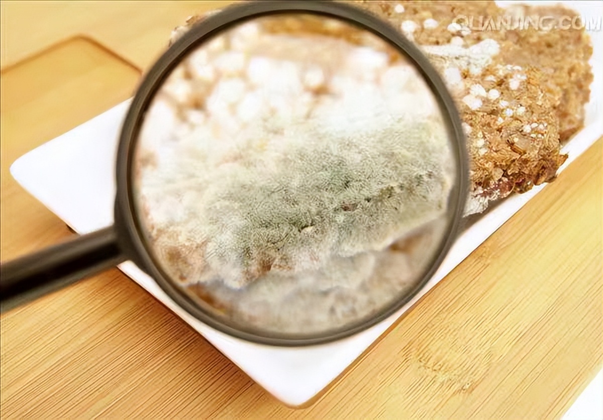 【聚焦“315”系列】发霉的蛋糕