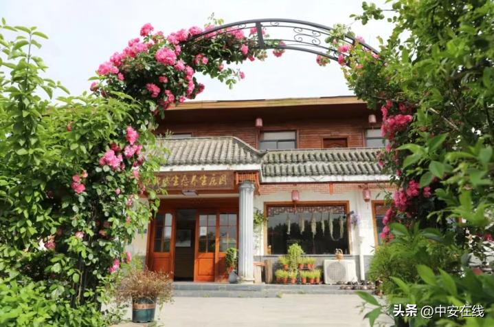 合肥发布63项文化旅游活动,五一合肥十大景区出炉