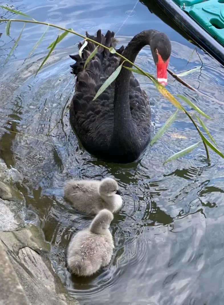 天津冬季遛娃,天津遛娃的免费公园