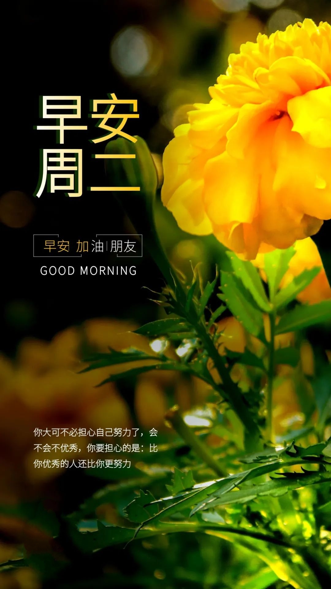 早安语录简短精辟带图,2018早安心语励志简短语录图片