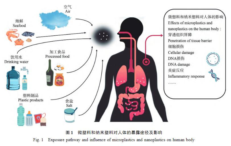 砧板抗菌测试,砧板不锈钢测评