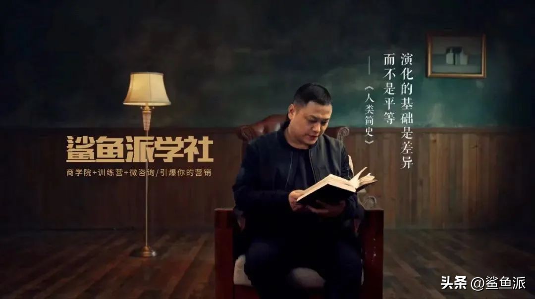 鲨鱼哥创业100例,鲨鱼哥深度思考