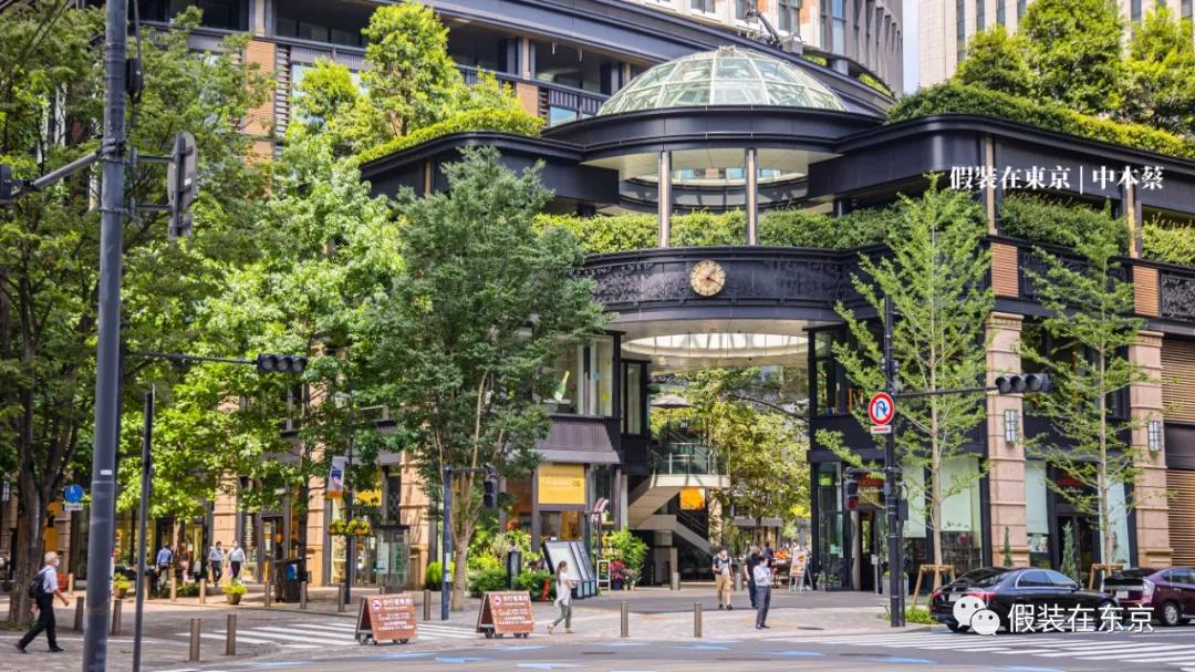 365张照片回顾,365张相片