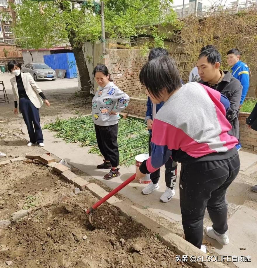 天津大龄自闭症庇护所,自闭症孩子的庇护所
