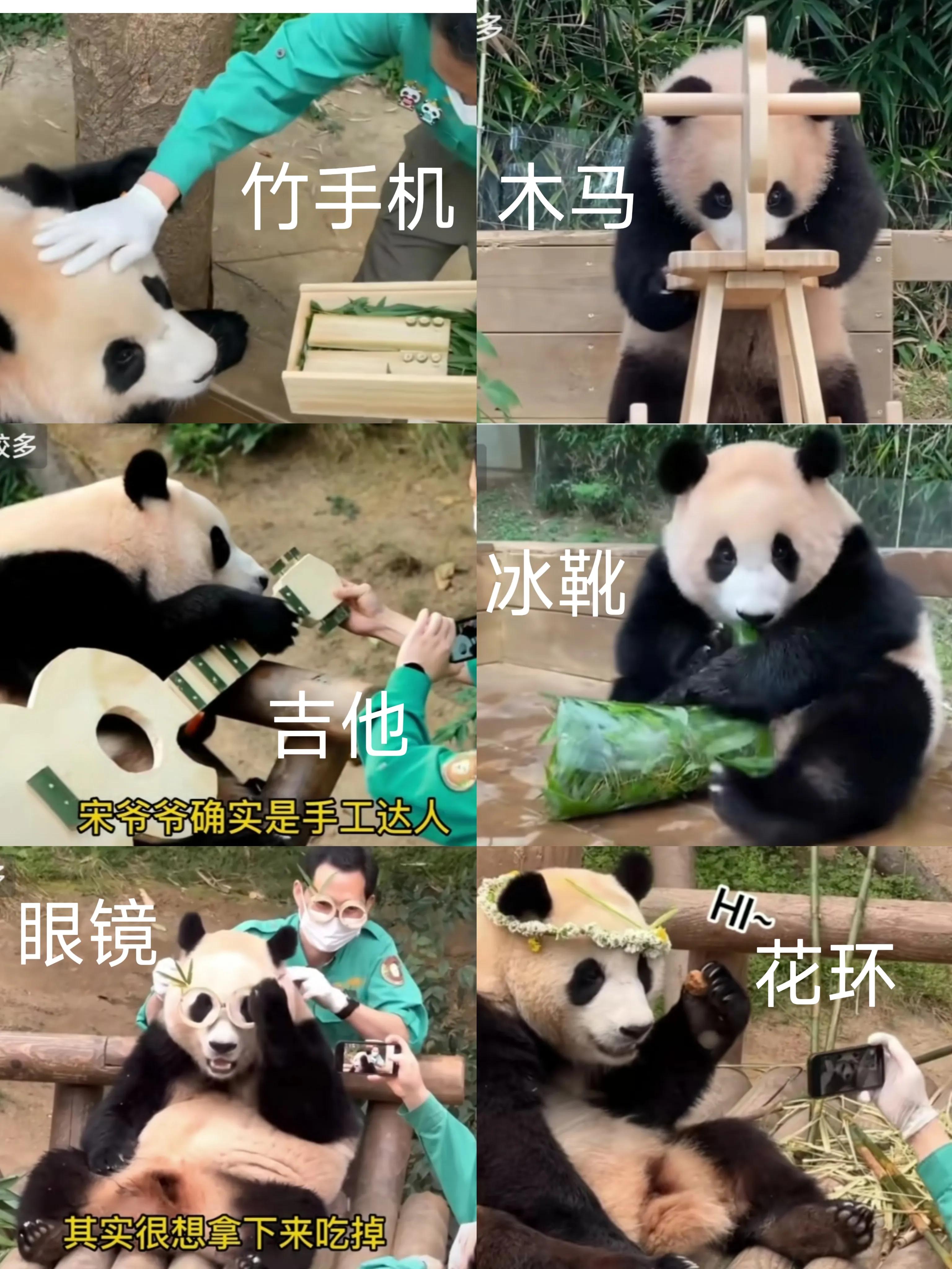 网传“福宝”续签，为何得到中国网友支持？原因有三，主要是她