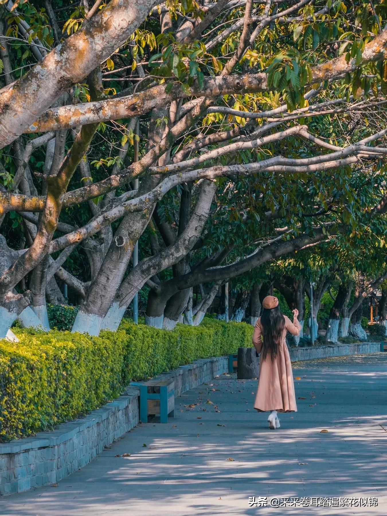 重庆自驾西昌邛海,西昌邛海环湖自驾游攻略