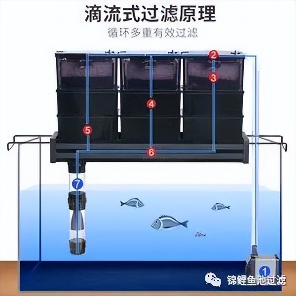 锦鲤鱼池过滤系统制作方法视频,锦鲤鱼池过滤高清详细设计图纸