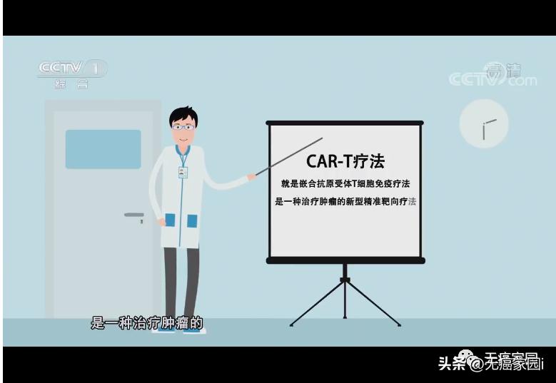 CAR-T疗法适合哪些癌症,从生存期到发展期