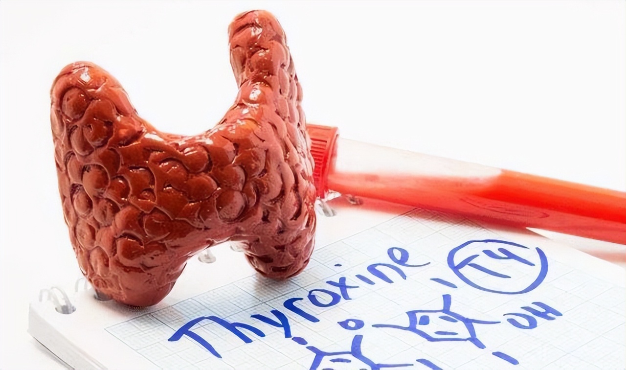 吃鹅肉容易得结节,鹅肉是发物吗有结节的人不能吃