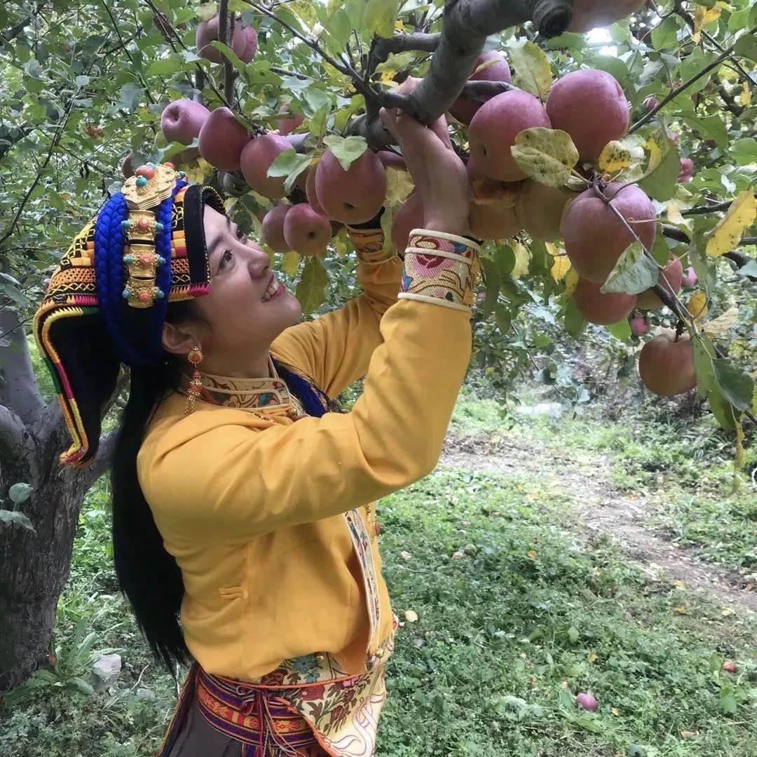 四川女孩嫁藏族小伙放弃百万年薪,四川女孩嫁甘肃农村视频